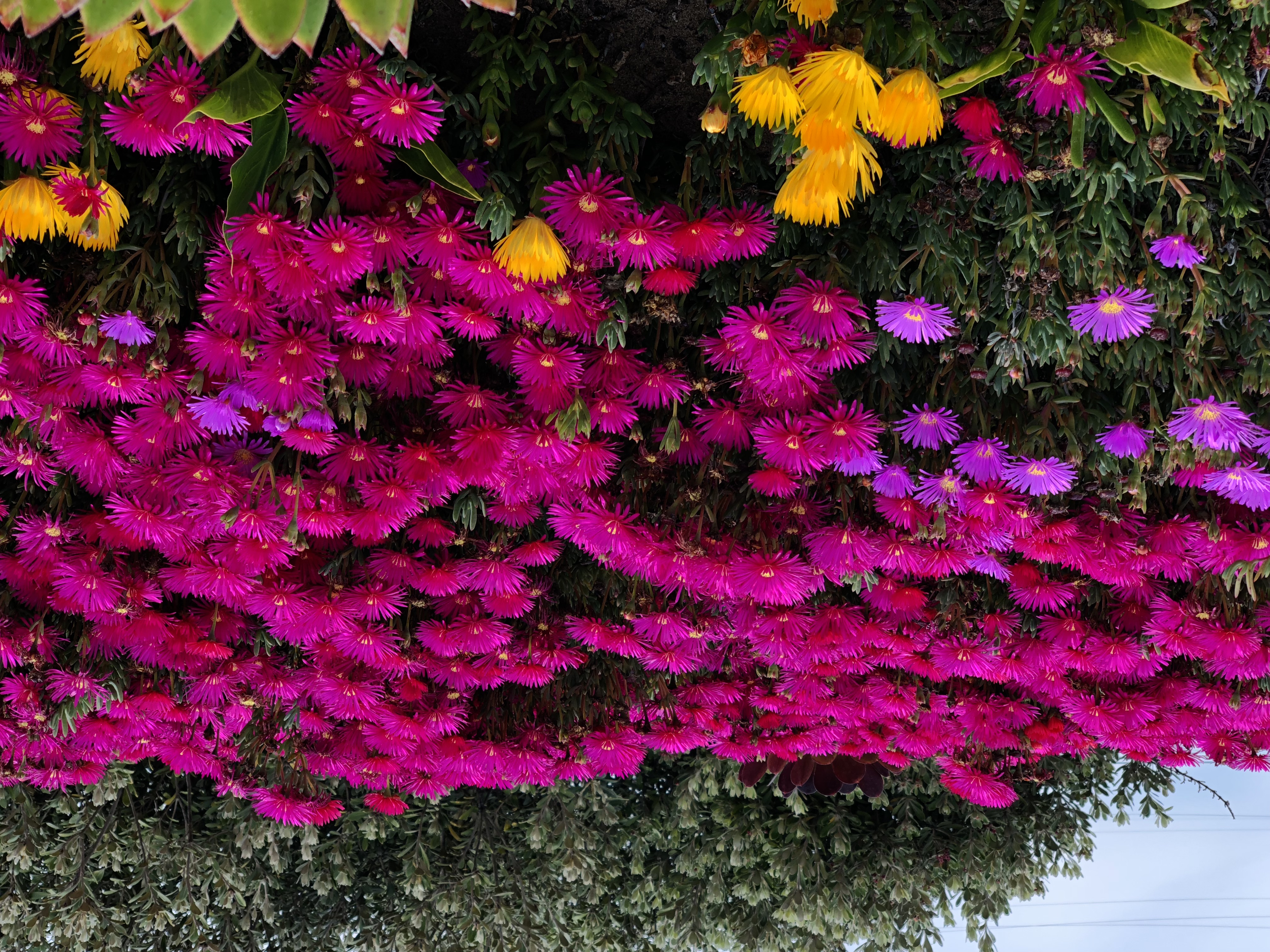  for Down Dog Yoga in Boston, MA