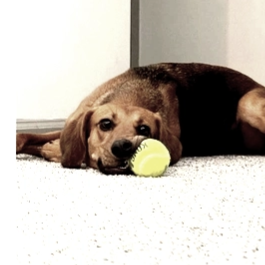  for Gallagher's Plastering Inc Here For Life in Providence, RI