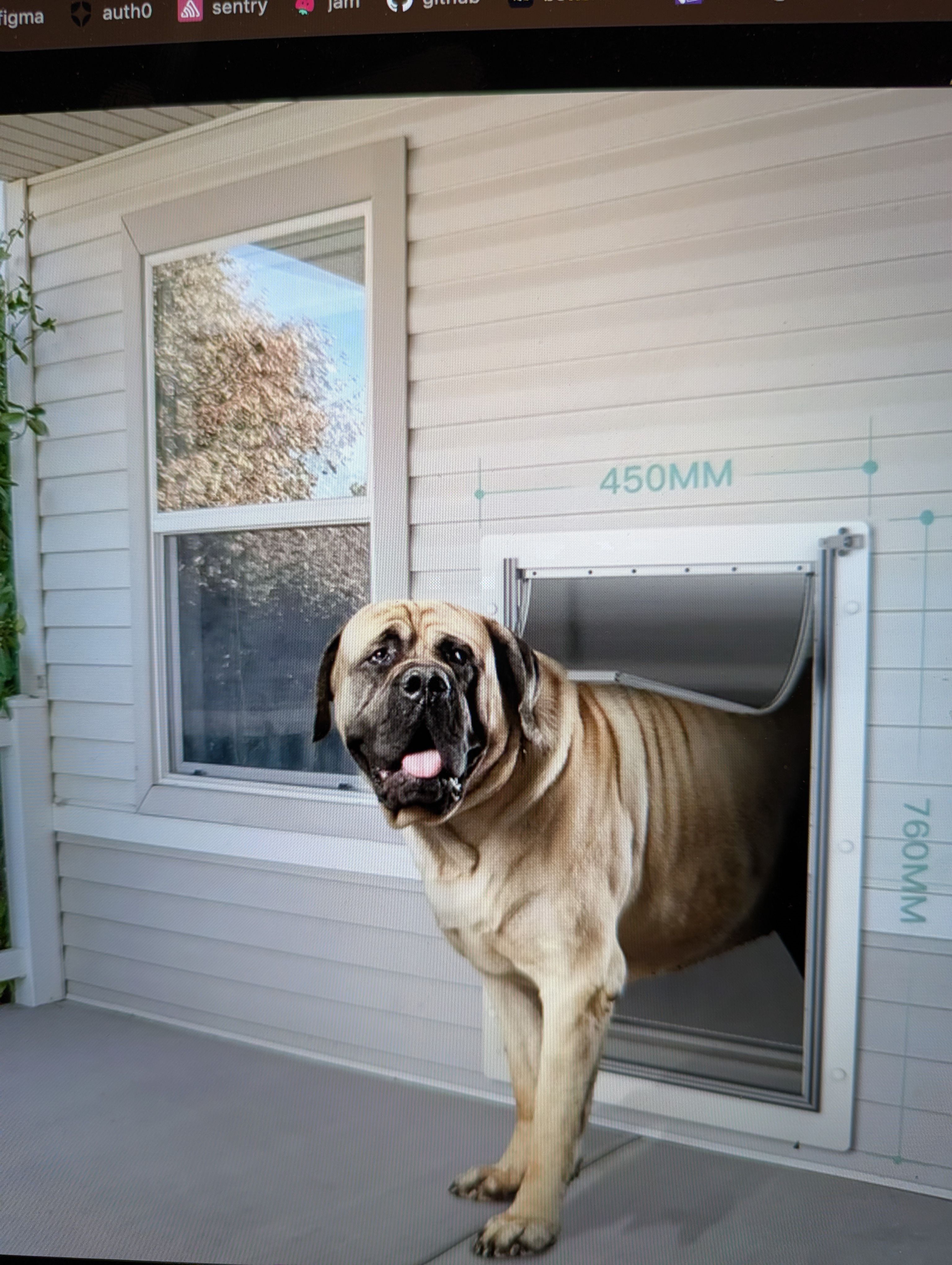  for Strange Cool Auto Detailing in Hartford, CT