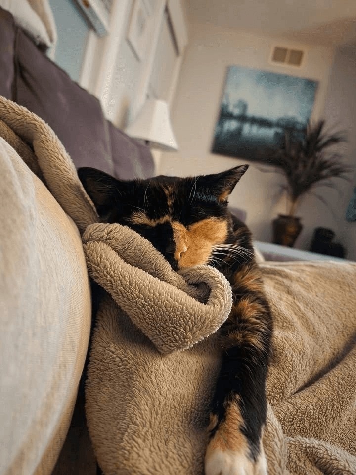  for Strange Cool Auto Detailing in Hartford, CT